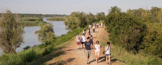 Antiche erbe delle valli: dagli utilizzi tradizionali al ripristino della biodiversità. Venerdi 1 ottobre 