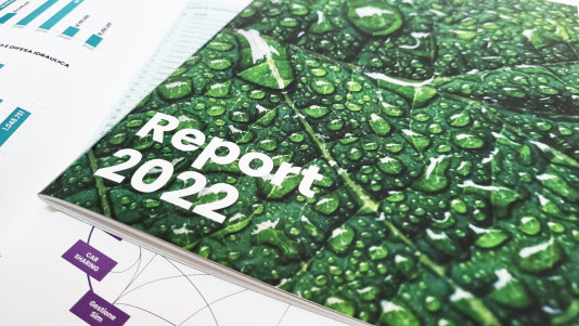 REPORT 2022 Bonifica Renana: online attività e numeri del Consorzio