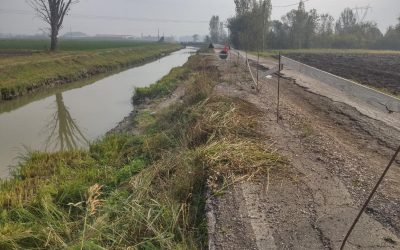 Mirandola: Burana al lavoro per la ripresa frane sui canali